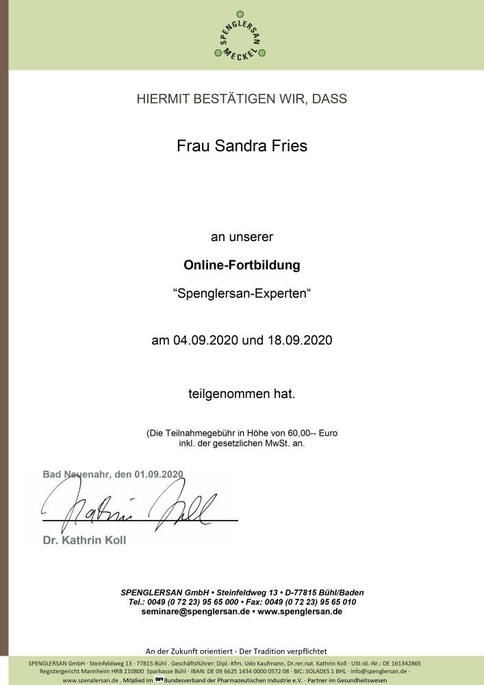 Teilnahmebescheinigung Spenglersan Expertin